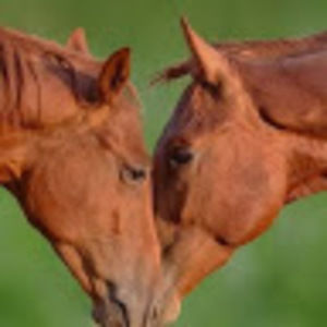 Meet your Posher, Michaela